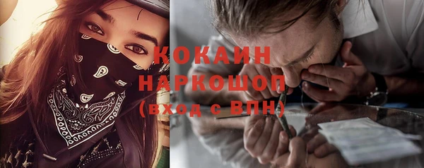 тгк Ельня