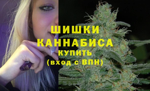 МДПВ Семёнов