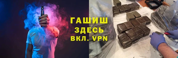 тгк Ельня