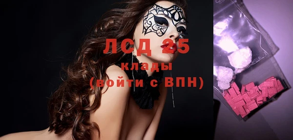 тгк Ельня