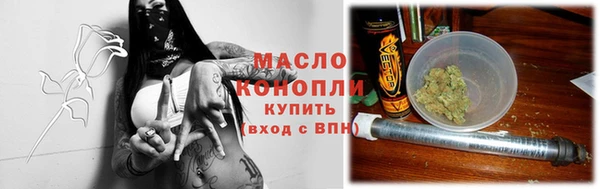 тгк Ельня