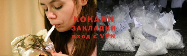 тгк Ельня