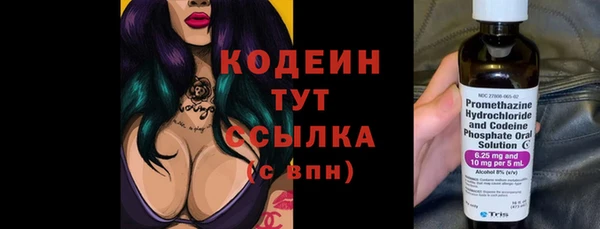 МДПВ Елизово