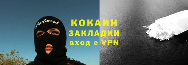 тгк Ельня