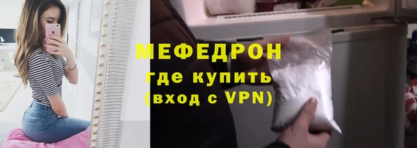 тгк Ельня