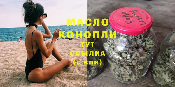 тгк Ельня