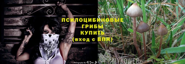 прущие грибы Семилуки