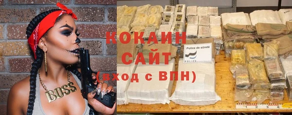 тгк Ельня