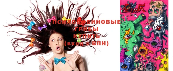 МДПВ Елизово