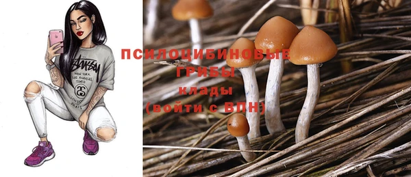 тгк Ельня