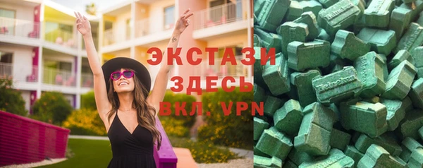 тгк Ельня