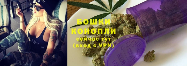 МДПВ Елизово