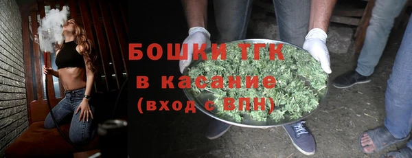 тгк Ельня