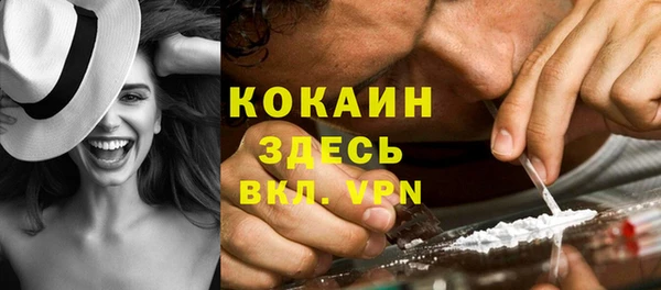 МДПВ Елизово